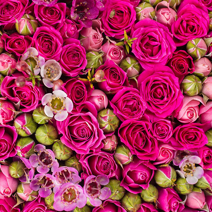 【やっちゃいけないNGファッション】その花柄、大丈夫？大人女子へのおすすめのモテ花柄はこれ！花柄レイヤードタンクトップ3L-4L
