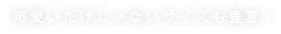 大きいサイズのレディース服ブランド+cute