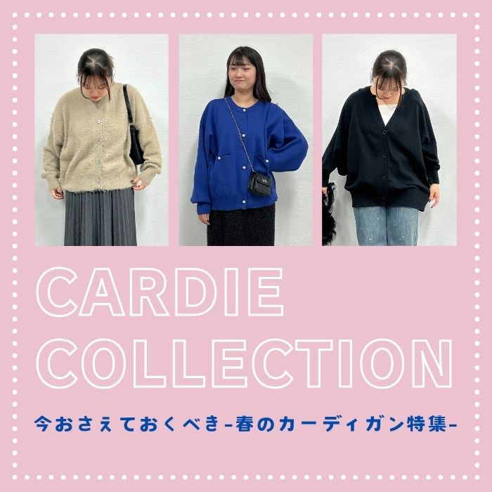 知らなきゃ損！＼春のカーデまつり／