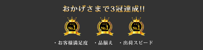 大きいサイズ専門店三冠達成