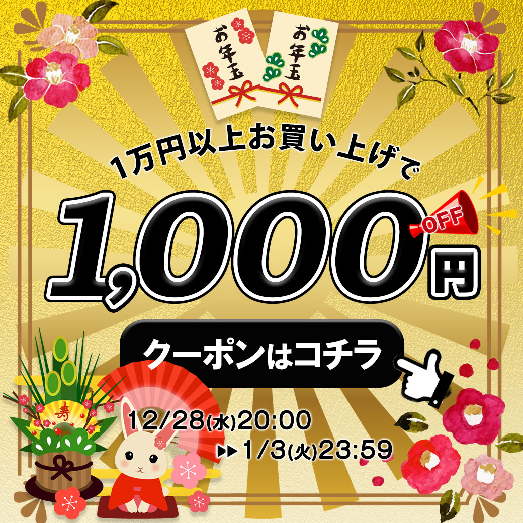 大きいサイズ通販服