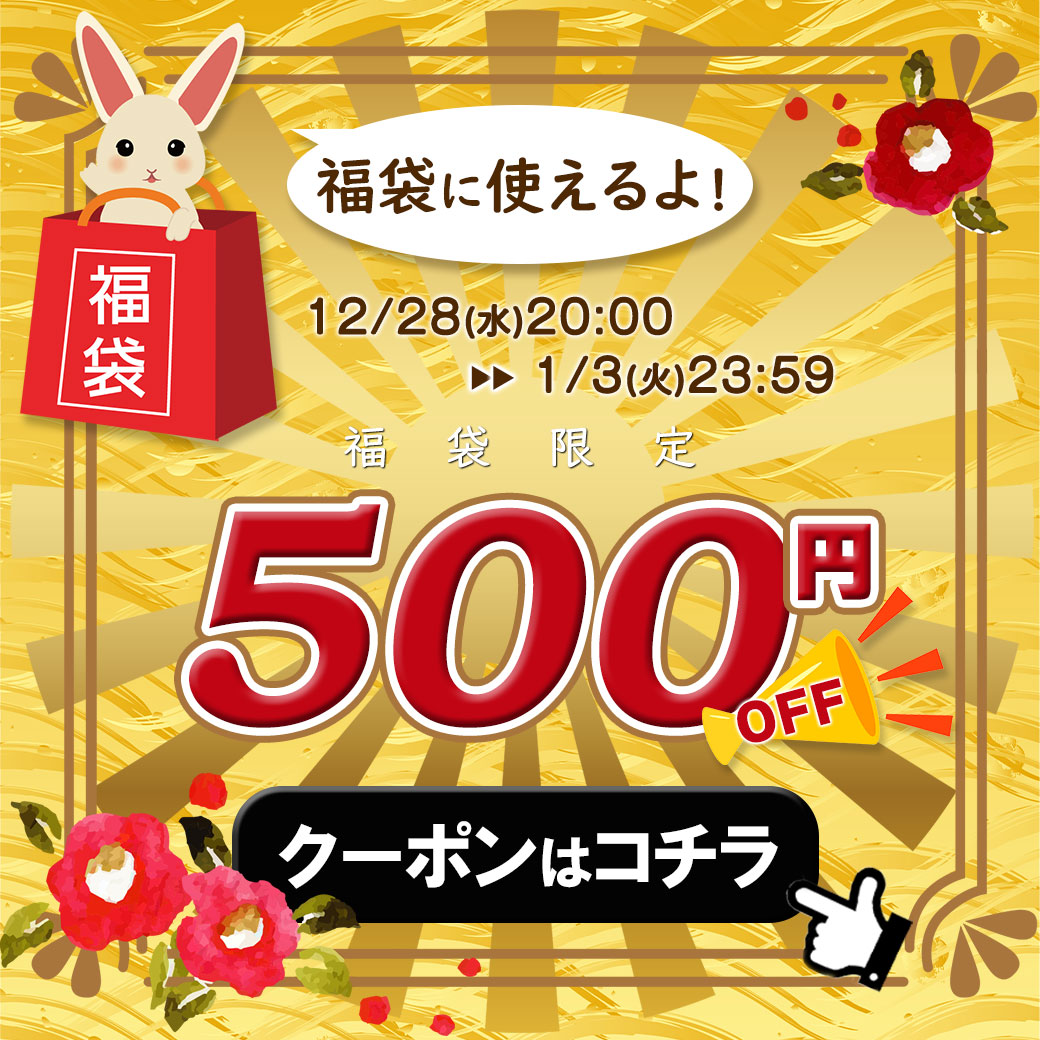 大きいサイズ通販服