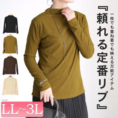 プチハイネックリブトップス