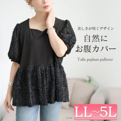 レースチュール切り替えぺプラムプルオーバー