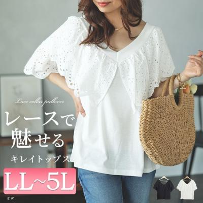 Vネックカットワークレースブラウス