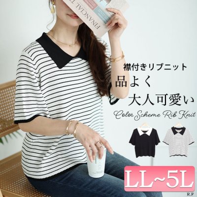 襟付きリブニット
