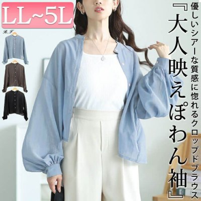 ボリュームスリーブクロップドシアーブラウス