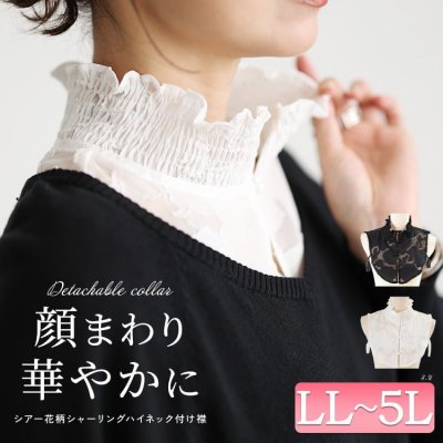 シアー花柄シャーリングハイネック付け襟 レディース トップス お洒落 LL-5L