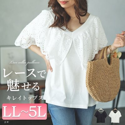 Vネックカットワークレースブラウス