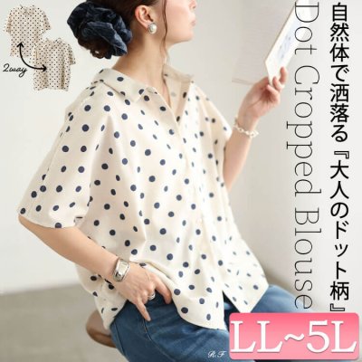 前後2wayドット柄ドルマンブラウス レディース トップス 体型カバー LL-5L
