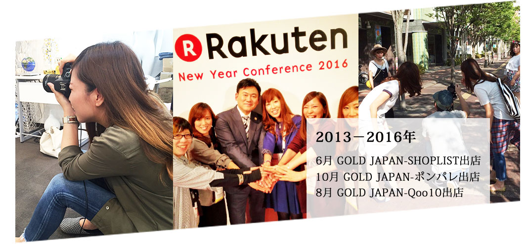 2013年-2016年の歴史