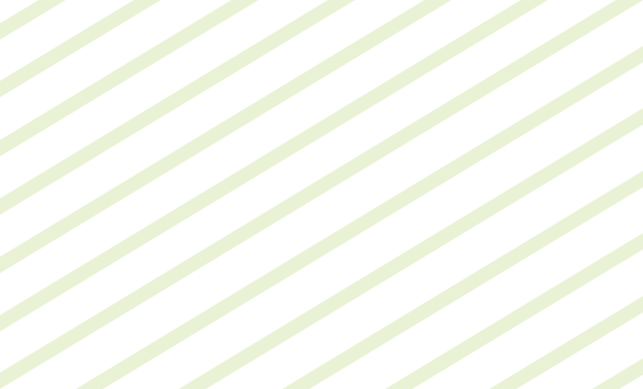 試着＆ランチ会レポート