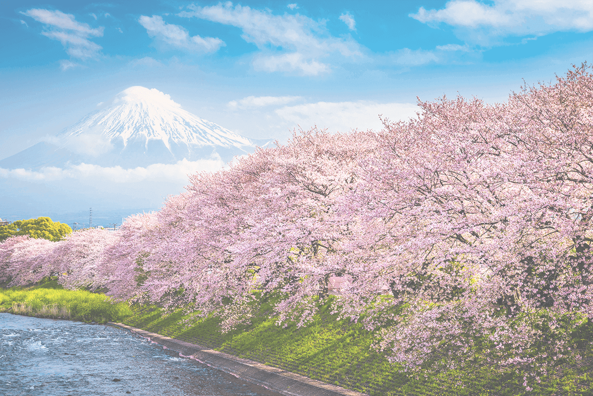 日本の景色(富士山と桜)