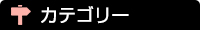 カテゴリー