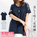 yCxgZ[z 傫TCY fB[X ԕhJVlbNJbg\[@cros-130082 y䂤pPbgz