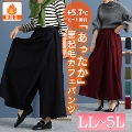 傫TCY fB[X NуJtFpc@sw-0491