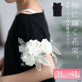 yCxgZ[z 傫TCY fB[X RT[WtJbg\[@jp474 y䂤pPbgz