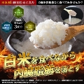 傫TCY fB[X wV@herushilin-01 y䂤pPbgz