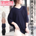 傫TCY fB[X VlbNl҂݃h}jbg@wn-0229