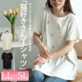 傫TCY fB[X lRvgRbg`jbNJbg\[@cast-5554002y䂤pPbgz