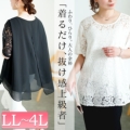 傫TCY fB[X [XؑւobNXbgVtHuEX@goldy-1716y[։z