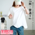 傫TCY fB[X EF[uAVTVc@goldy-1703y[։z