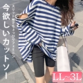 傫TCY fB[X XbgX[u{[_[TVc@goldy-1737y[։z